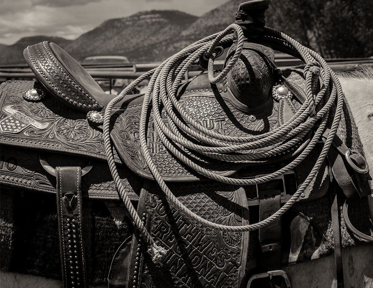 DSC_2486-11x8.5 saddle